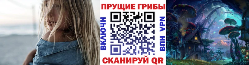 сайты даркнета какой сайт  где купить наркоту  Цивильск  Псилоцибиновые грибы Psilocybine cubensis 